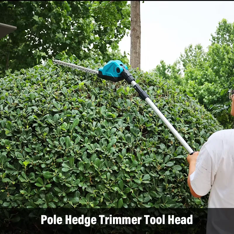 Cordless Pole Hedge Trimmer 2  - đánh giá và giá Cordless Hedge Trimmer Pole 2 In 1