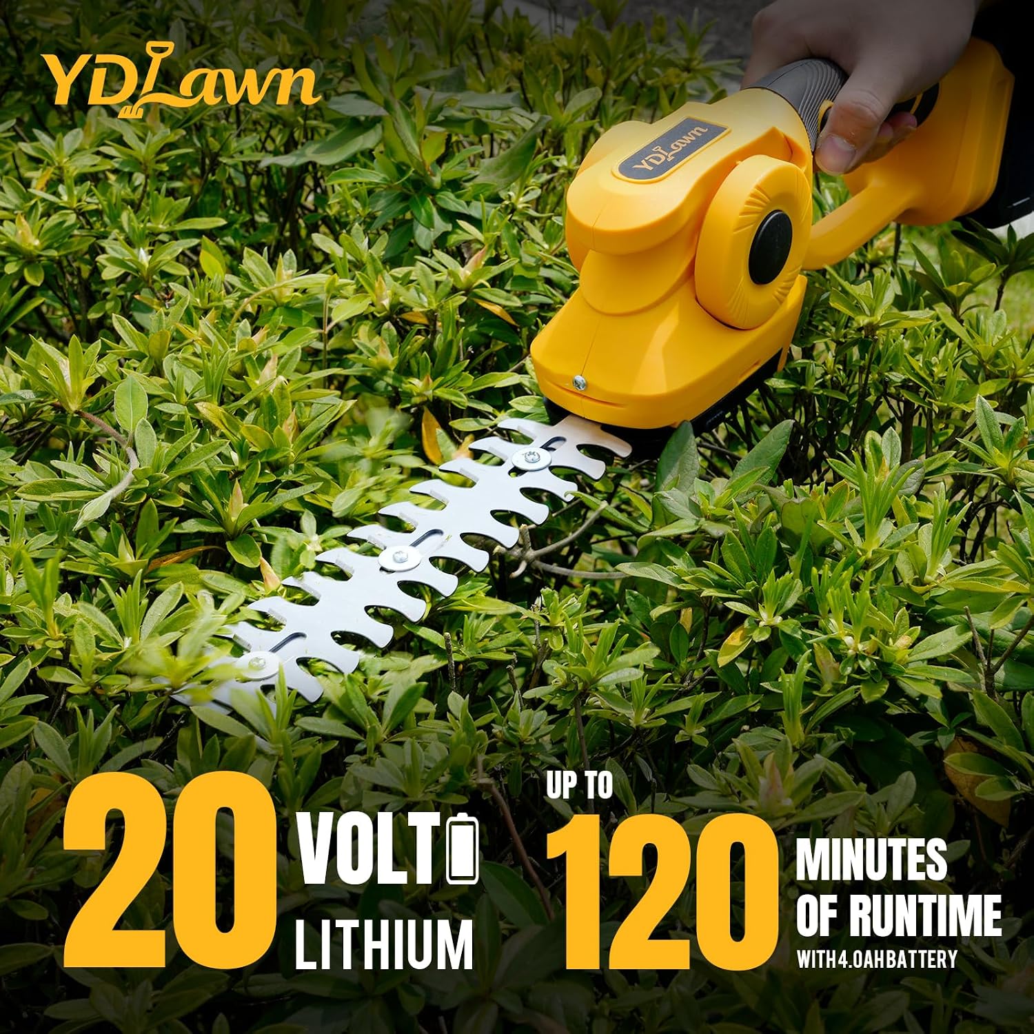 2-in-1 20V Cordless Pole Hedge - đánh giá và giá Cordless Hedge Trimmer Pole 2 In 1